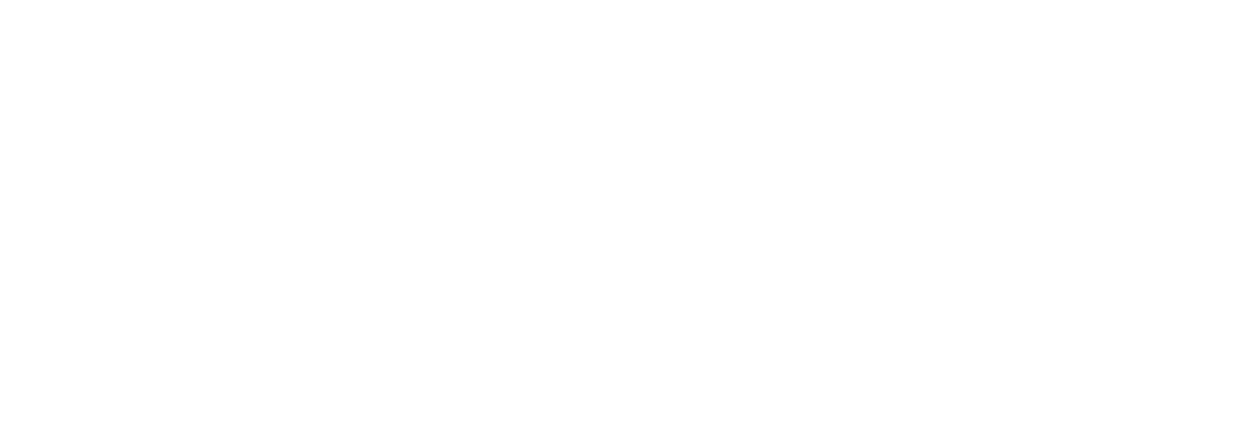 Cognitiva Digital